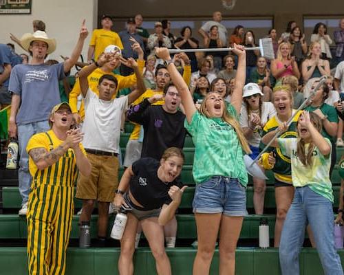 A group of students cheering at a sports game